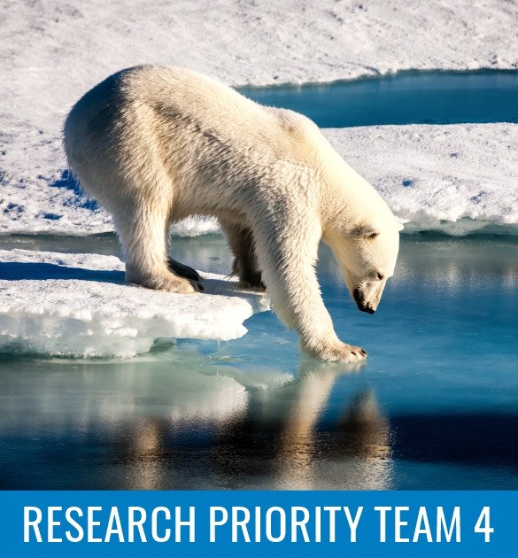 Research Priority Team 4