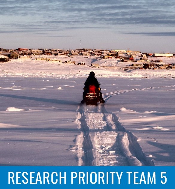Research Priority Team 5
